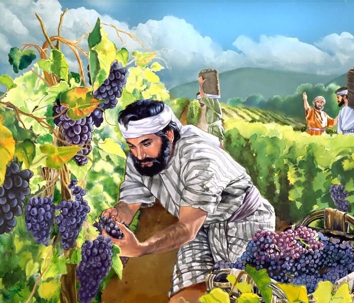الأحد الخامس والعشرون من زمن السنة (أ)